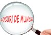 Locurii de muncă vacante la 28 mai 2026 în Vaslui, Bârlad și Huși