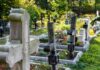 Ofertele de cumpărare a unui teren pentru noul cimitir în Vaslui, respinse la vot