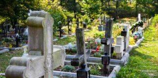 Ofertele de cumpărare a unui teren pentru noul cimitir în Vaslui, respinse la vot