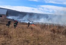 Direcția de Mediu reamintește obligațiile legale, în contextul creșterii alarmante a incendiilor de vegetație