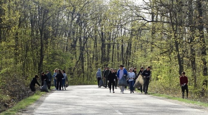 Weekend-ul mediului: Sâmbătă – Ziua Curățeniei Naționale, duminică – Crosul „Alerg să fiu sănătos”, la Vaslui, și concurs de biciclete pentru copii, la Bârlad