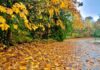 Până pe 21 septembrie, temperaturi apropiate de normal și precipitații deficitare