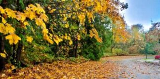 Până pe 21 septembrie, temperaturi apropiate de normal și precipitații deficitare