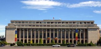 Crescătorii de oi din județ participă la un protest la București