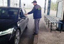 Permisul de conducere procurat de pe internet i-a adus un dosar penal