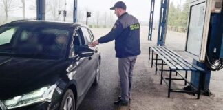 Permisul de conducere procurat de pe internet i-a adus un dosar penal
