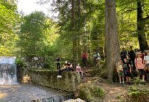 Excelența în educație, recompensată cu o tabără gratuită la Poiana Brașov