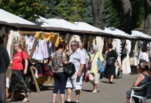 Primăria Vaslui: Evenimentele acestei toamne