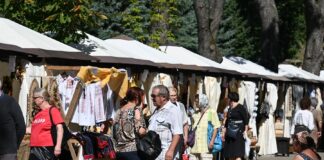 Primăria Vaslui: Evenimentele acestei toamne