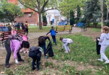 Consiliul Județean invită vasluieni să participe la Ziua de Curățenie Națională 2026