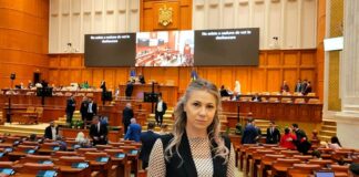 „Reforma care își pierde curajul în fața puterii”