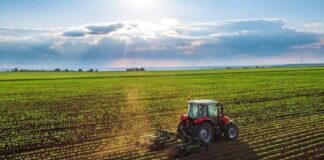 Agricultorilor vasluieni le e tot mai greu: Județul nostru e pe locul 3 la insolvențe în agricultură, pe fondul concurenței din Ucraina și scumpirilor