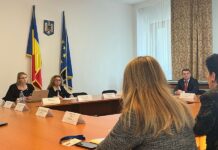Deputata Raisa Enachi protestează: „Consiliul Legislativ confundă cluburile de noapte cu examenele”