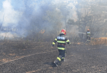 Trei incendii de vegetație, într-o singură zi, în județ, provocate de foc deschis. Pompierii transmis măsuri de prevenire