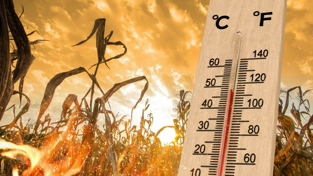 Vaslui, sufocat de caniculă: după maxima de 37°C de ieri, azi sunt așteptate 36°C