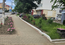 Primarul din Negrești își laudă concetățenii pentru contribuția lor la înfrumusețarea orașului
