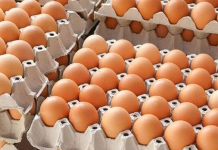 Statisticienii spun că prețul ouălor a crescut cel mai mult la Vaslui – 30%