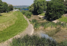 Primăria Vaslui a lansat consultare publică la proiectul „Regenerare urbană zona râului Delea”
