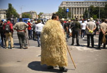 Oierii vasluieni, amendați drastic de jandarmii bucureșteni la protestul de la sfârșitul lunii trecute din Piața Presei și Piața Victoriei